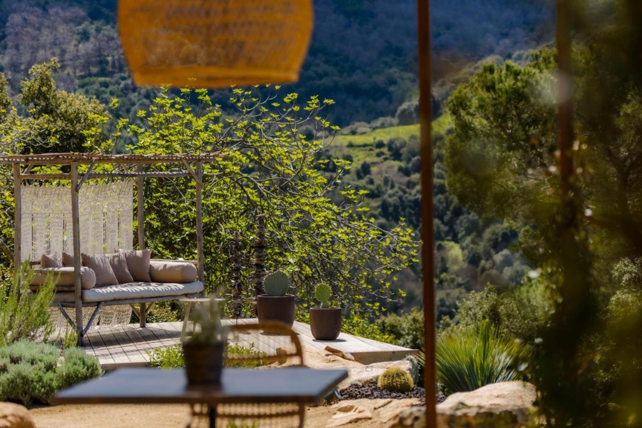 Terre De Maquis, Maison D'Hotes Vue Mer Corse Sari-D'orcino Kültér fotó