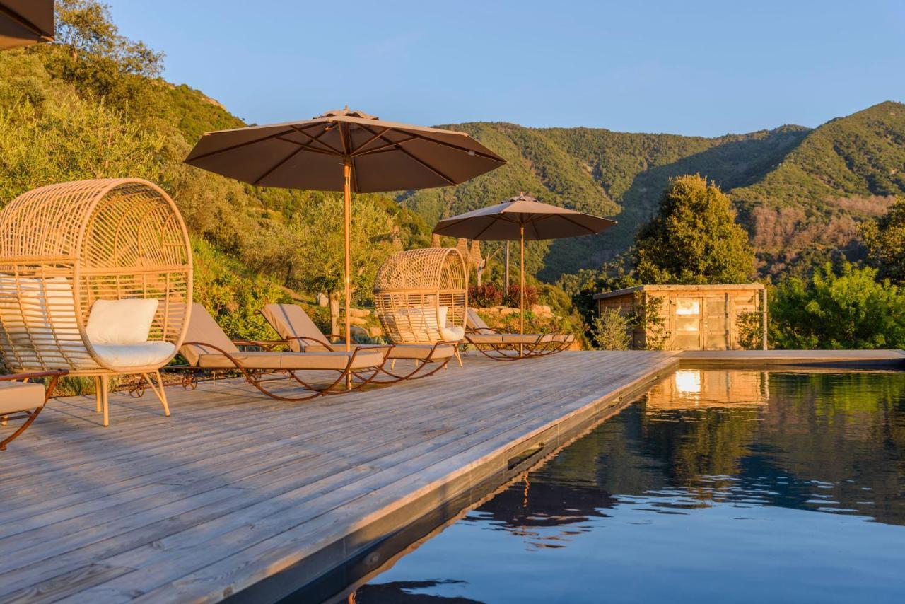 Terre De Maquis, Maison D'Hotes Vue Mer Corse Sari-D'orcino Kültér fotó