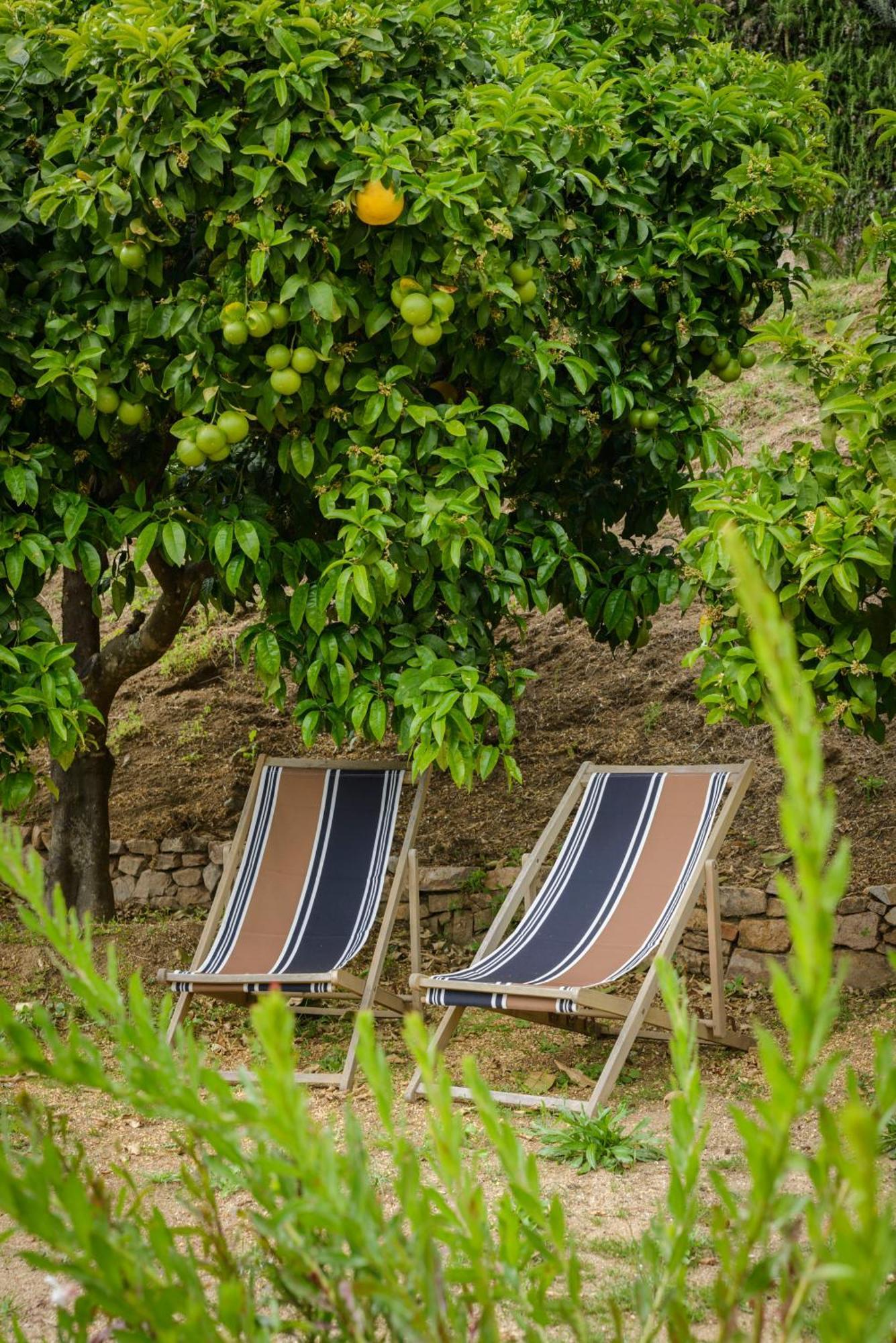 Terre De Maquis, Maison D'Hotes Vue Mer Corse Sari-D'orcino Kültér fotó