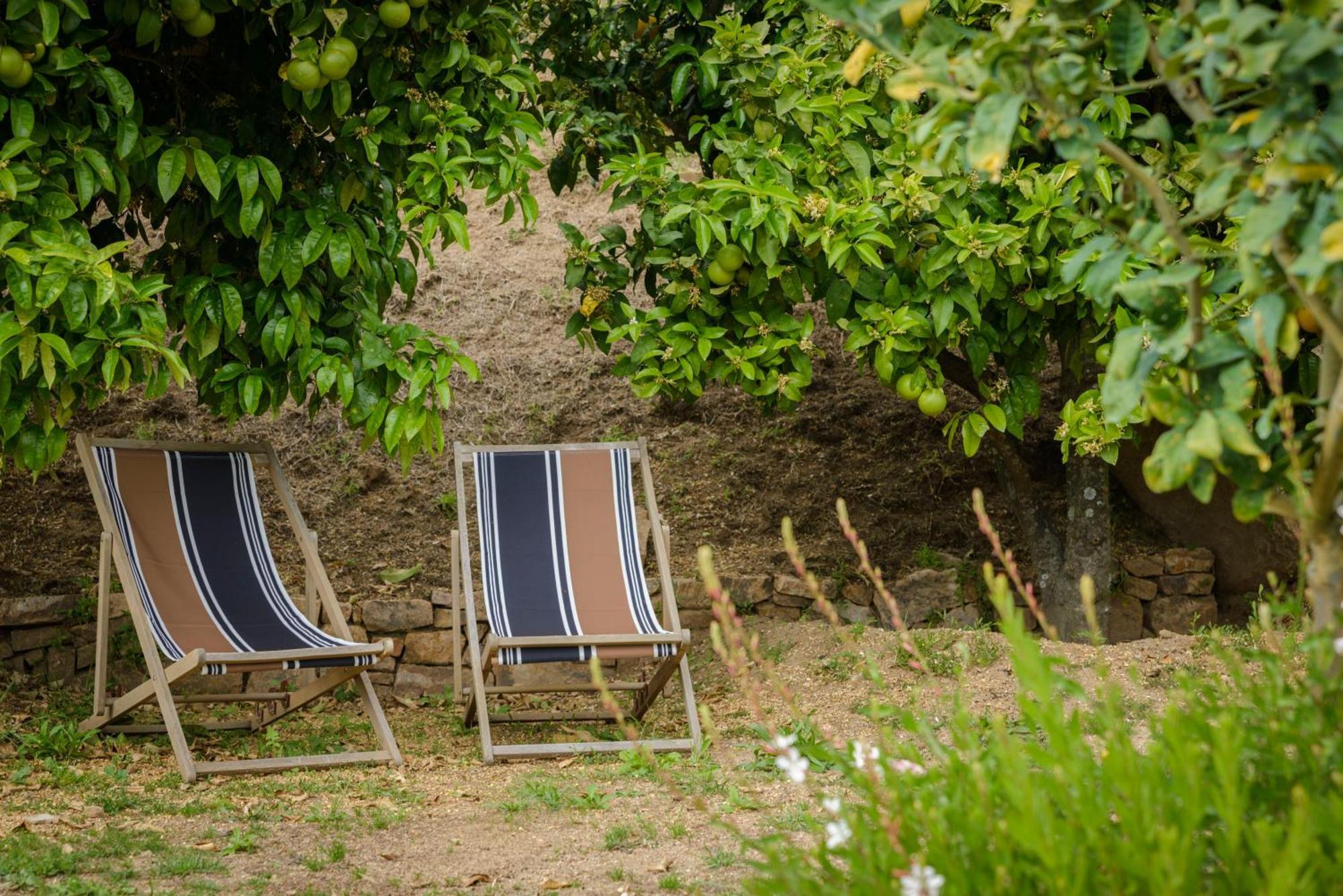 Terre De Maquis, Maison D'Hotes Vue Mer Corse Sari-D'orcino Kültér fotó